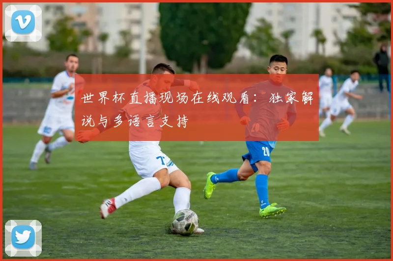 世界杯直播现场在线观看：独家解说与多语言支持