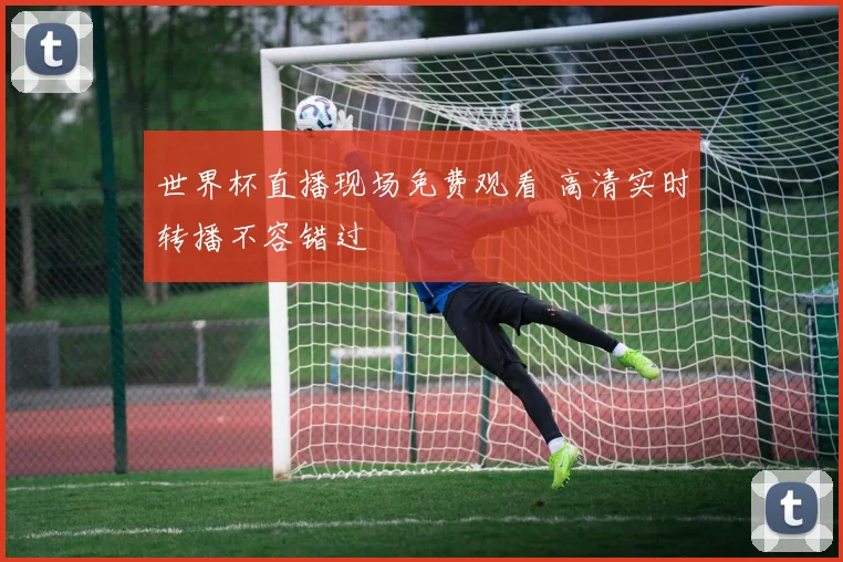 世界杯直播现场免费观看 高清实时转播不容错过