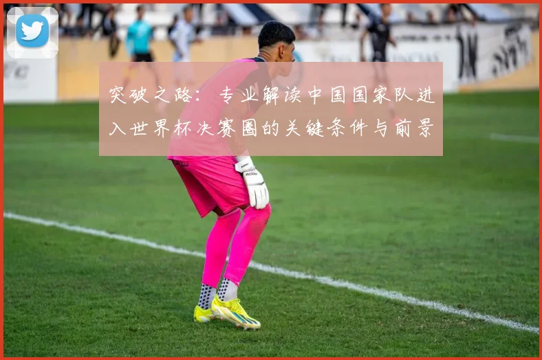 突破之路：专业解读中国国家队进入世界杯决赛圈的关键条件与前景