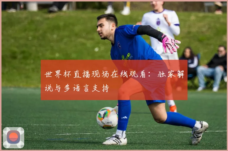 世界杯直播现场在线观看：独家解说与多语言支持
