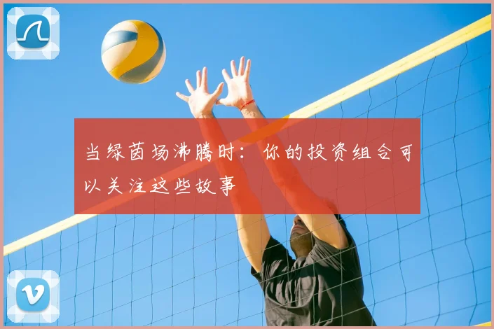 当绿茵场沸腾时：你的投资组合可以关注这些故事