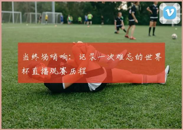 当终场哨响：记录一次难忘的世界杯直播观赛历程