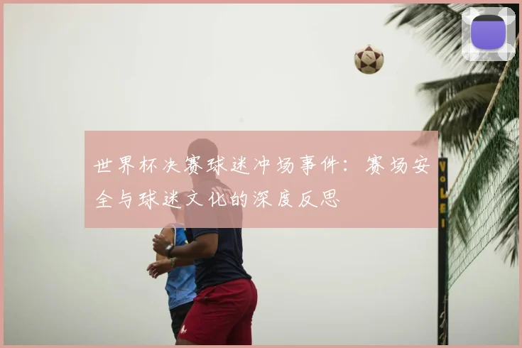 世界杯决赛球迷冲场事件：赛场安全与球迷文化的深度反思