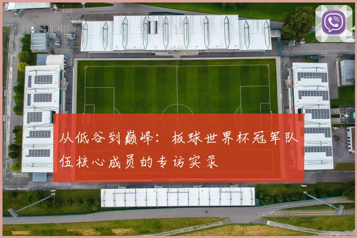 从低谷到巅峰：板球世界杯冠军队伍核心成员的专访实录