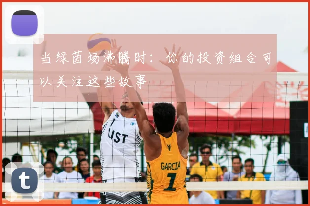当绿茵场沸腾时：你的投资组合可以关注这些故事