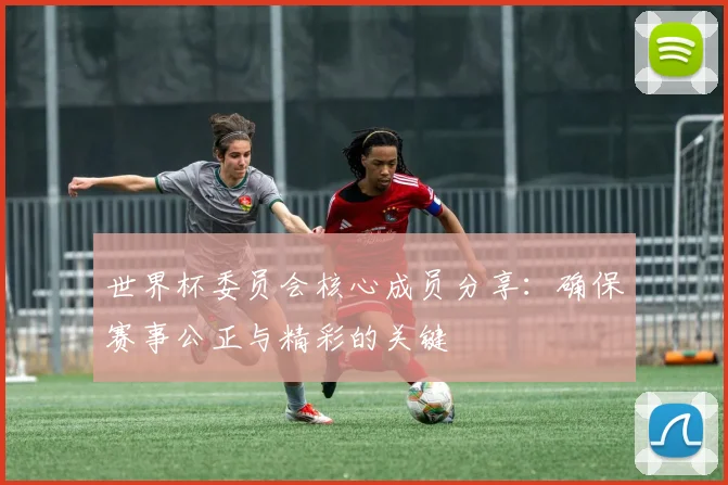 世界杯委员会核心成员分享：确保赛事公正与精彩的关键