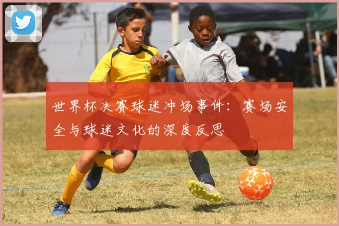 世界杯决赛球迷冲场事件：赛场安全与球迷文化的深度反思