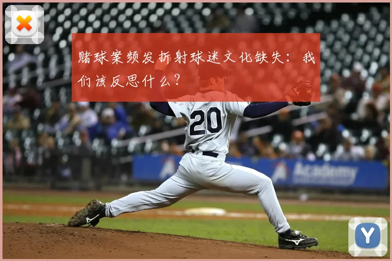 赌球案频发折射球迷文化缺失：我们该反思什么？